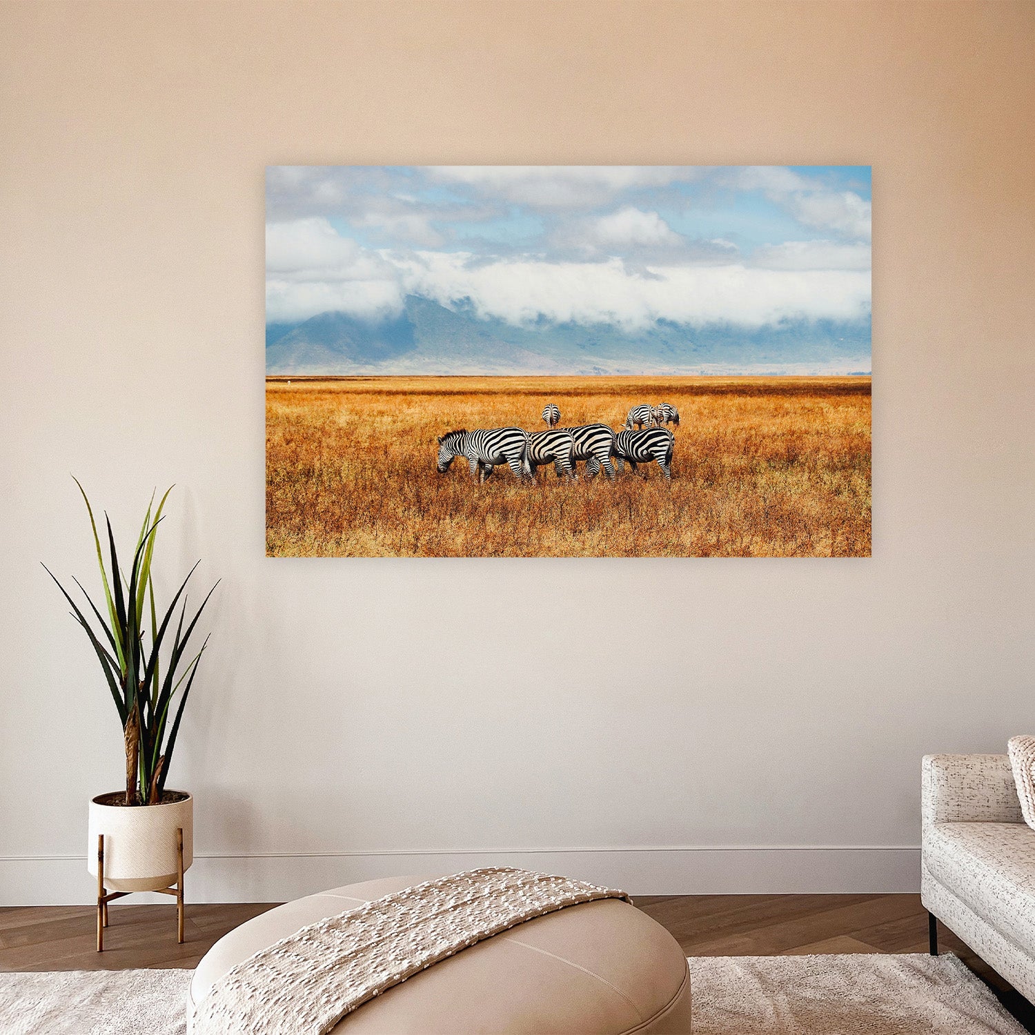 Sierlijke savannegrazers